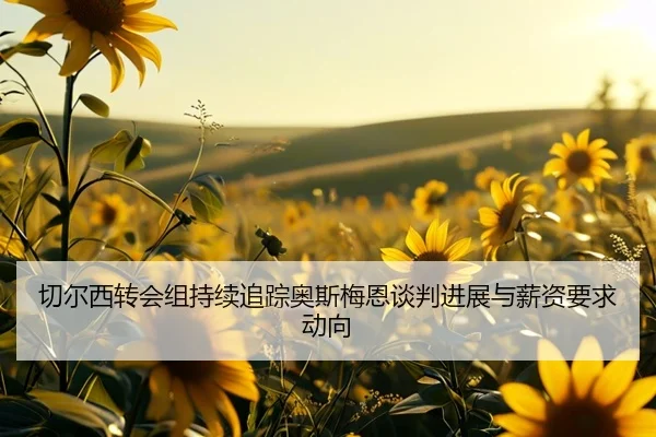 切尔西转会组持续追踪奥斯梅恩谈判进展与薪资要求动向
