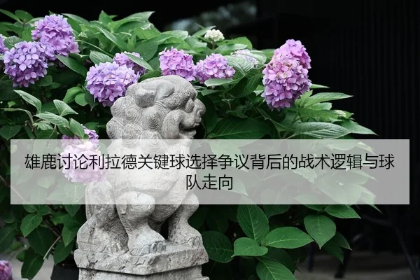 雄鹿讨论利拉德关键球选择争议背后的战术逻辑与球队走向